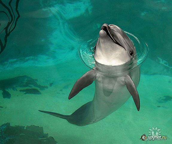 Людмила Можно Мила