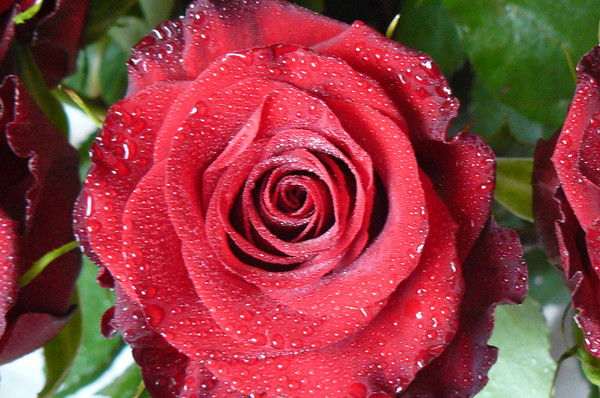 Людмила Маршукова