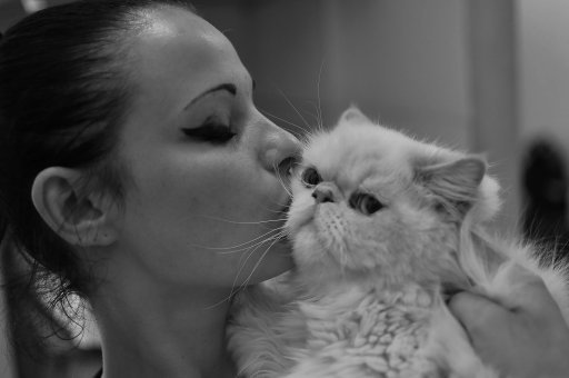 Шурка Бирюкова