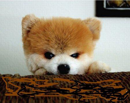 Эрлан Курманбек