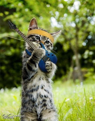 Роман Петров