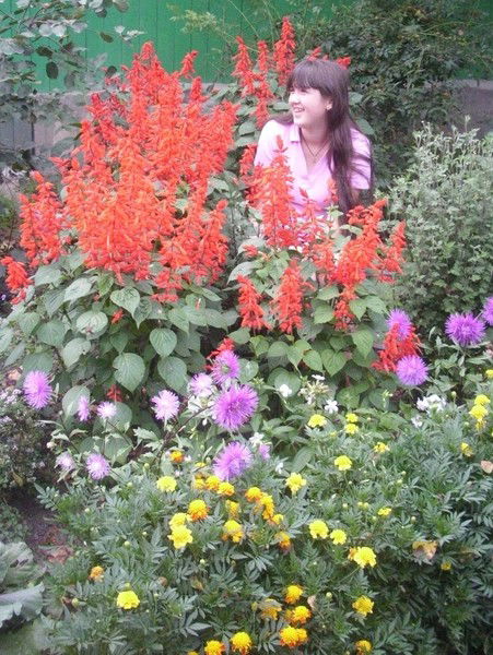 Наташа Хмелевская