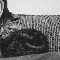 Виктория Волкова