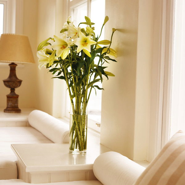 Гульмира Жунусова