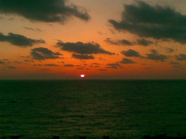 Алексей Шелуха