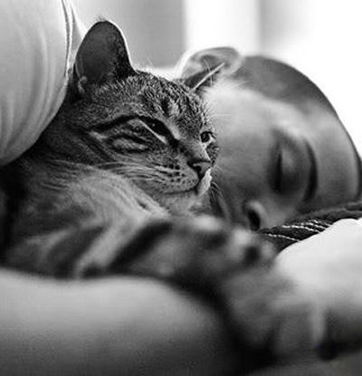 Михаил Стрельцов