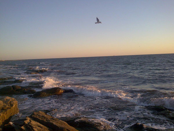 Жанара Тасмагамбетова