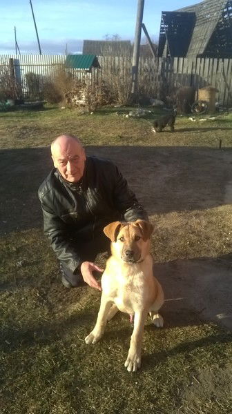 Александр Куклев