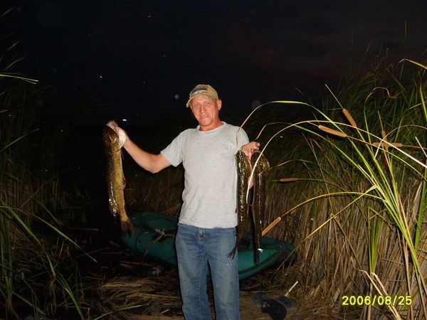 Александр Кошкин