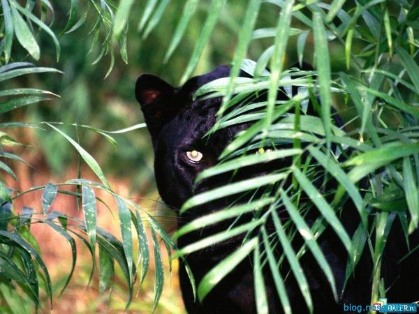 Оксана Чулкова