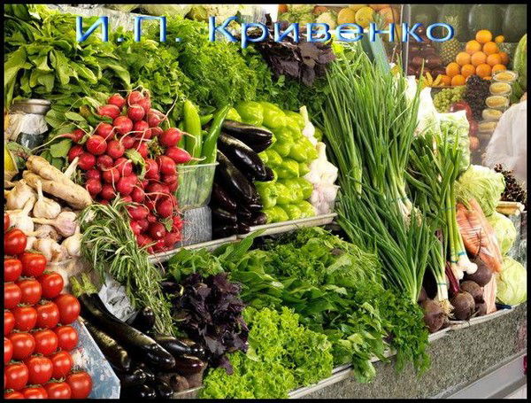 Виктория Кривенко