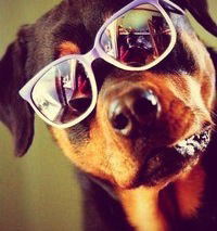 Екатерина Пархоменко