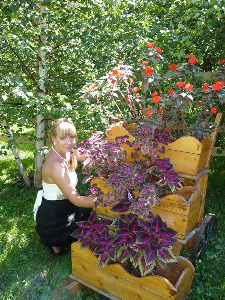 Алена Тесло