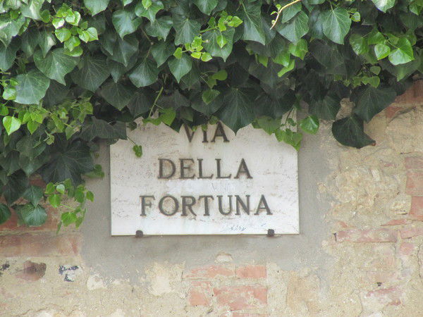 Алексей Бурчевский