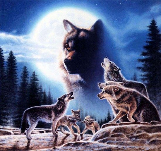 Ирина Кудряшова