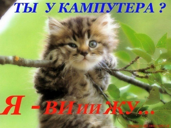 Наталья Лысова