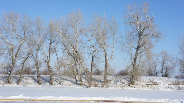 Эльвира Зубкова