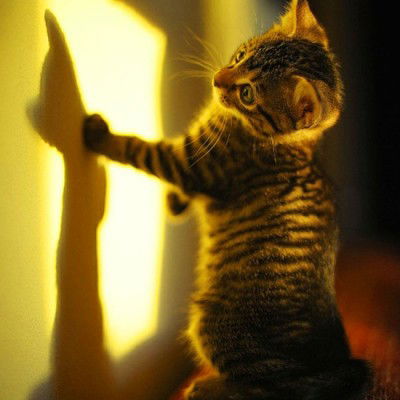 ღღღ Наташа ღღღ