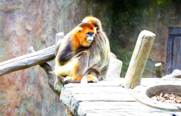 Андрей Лямин