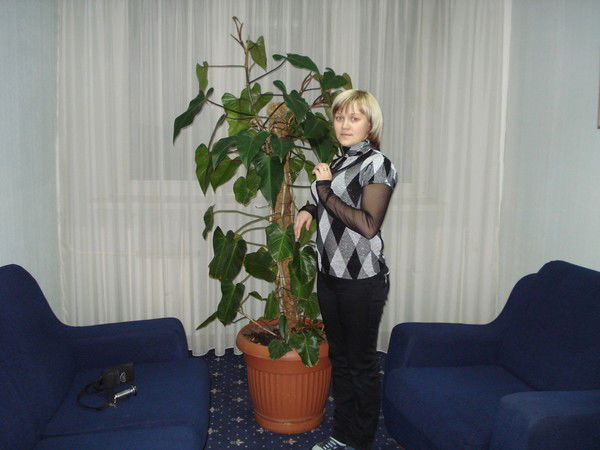 Елена Носова