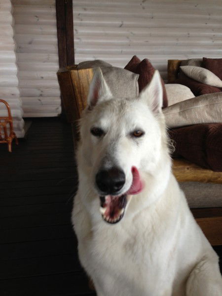 Нора Зеленая