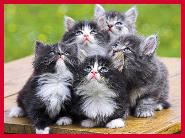 Настя Шарипова