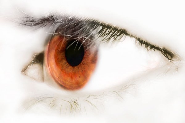 Сергей Сергеевич