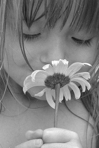 *** Кнопочка