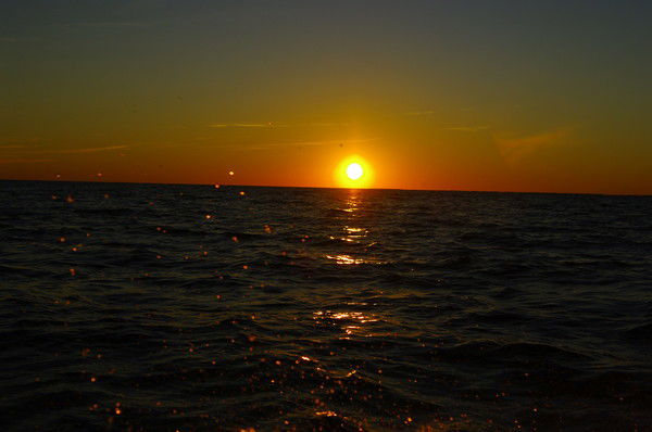 Андрей Бацких