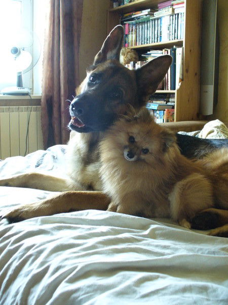 Эмилия Сироткина