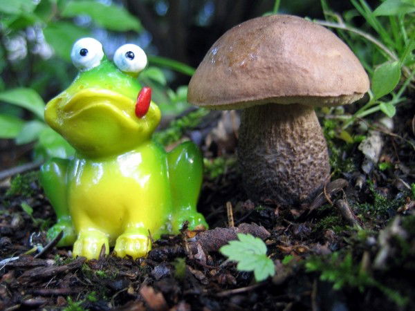 Ирина Промыслова