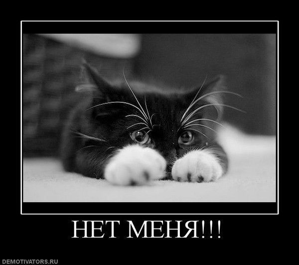 Надежда Нехода