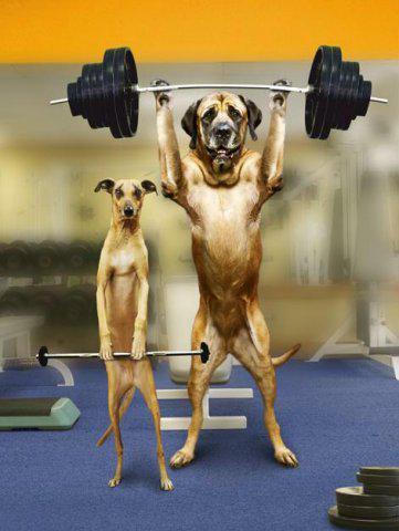 Станислав Каратицкий