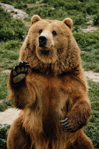 Виталий Сидоров