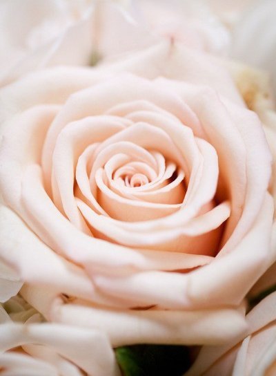 Куралай Аманова