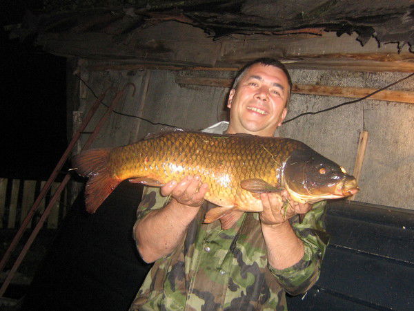 Владимир Матросов