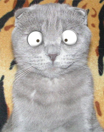 Андрей Желнин