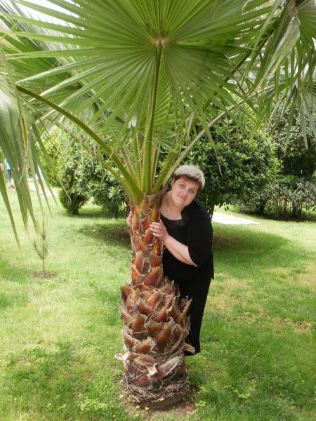 Александра Костенко