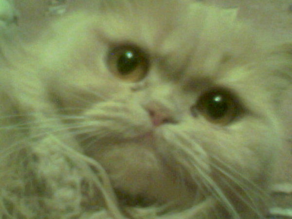 Александр Сулиманов