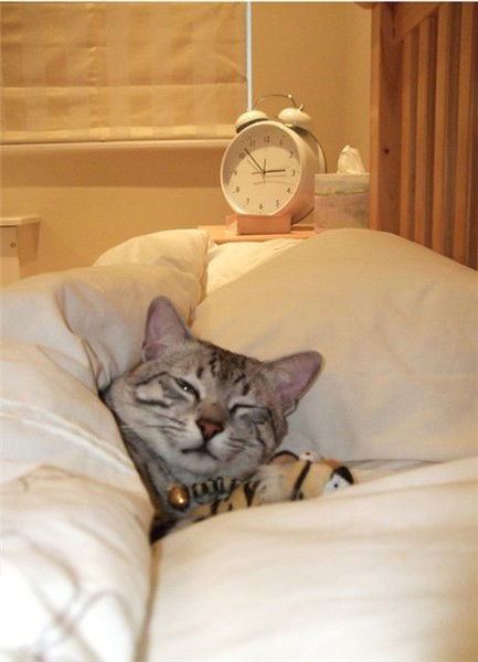 Ирина Мухаметшина