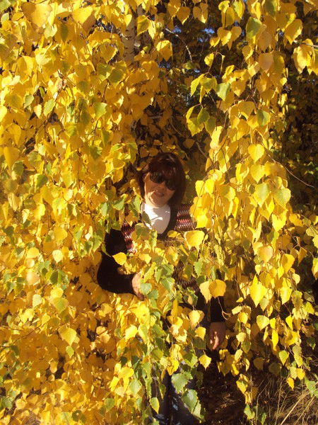 Анастасия Финькова