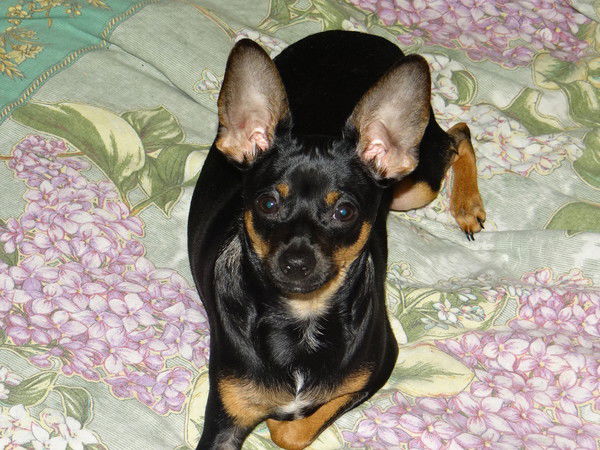 Александр Холтобин