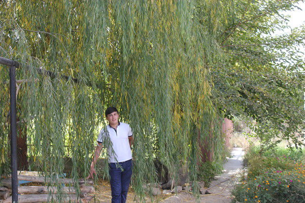 V . I . P - One - Love