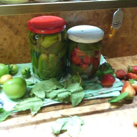 Юлия Владимировна