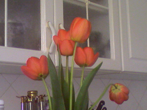 Галия Голубева