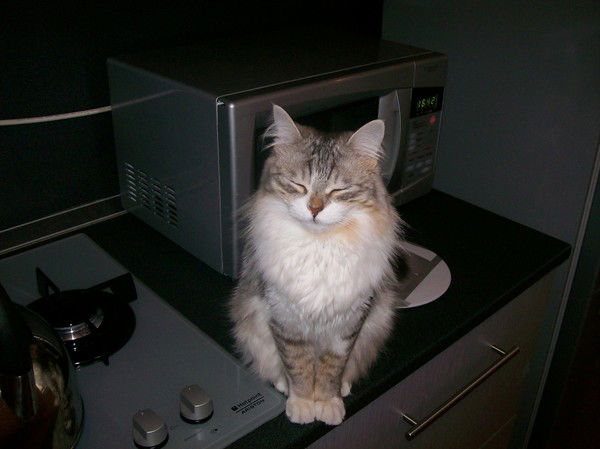 Валентина Белякова