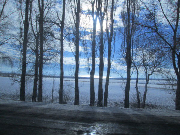 Саша Чёрная