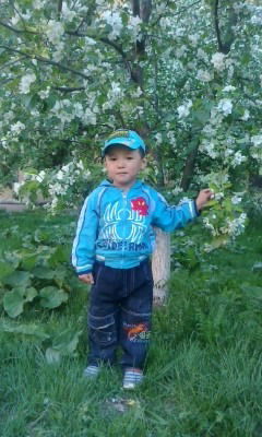 Сабирбек Керкибашев