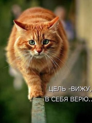 Николай Лим