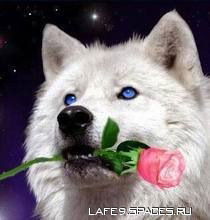 Татьяна Тигрица